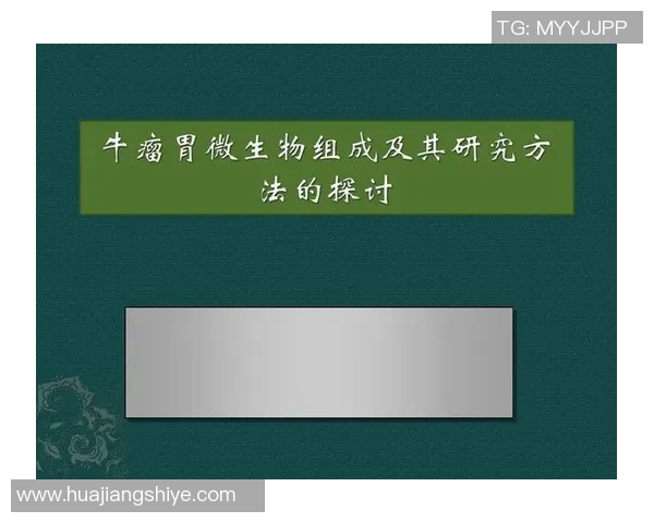 篮球明星奖项设置的标准与评选流程探讨及其对运动员发展的影响分析